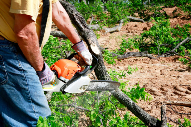 Mulching Services in Surfside Beach, SC